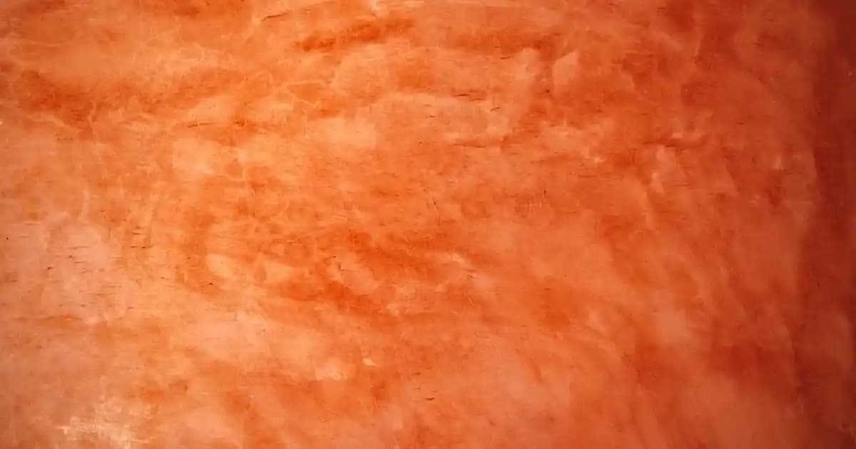 Bebek Bakımında Food Termoslu Çantaların Özellikleri ve Kullanım Avantajları