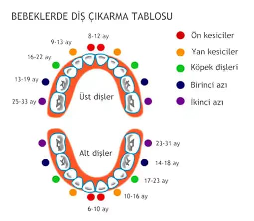 Bebeklerde Diş Çıkarma Sürecine Destek: Güvenilir ve Etkili Ürünler Rehberi