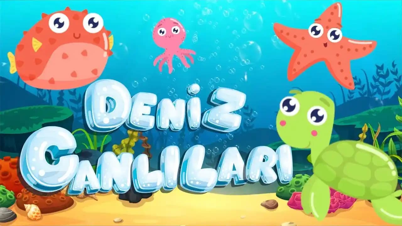 Deniz Canlıları Eğitim Setleri Çocukların Doğa ile Tanışmasını Sağlayan Öğretici Malzemeler
