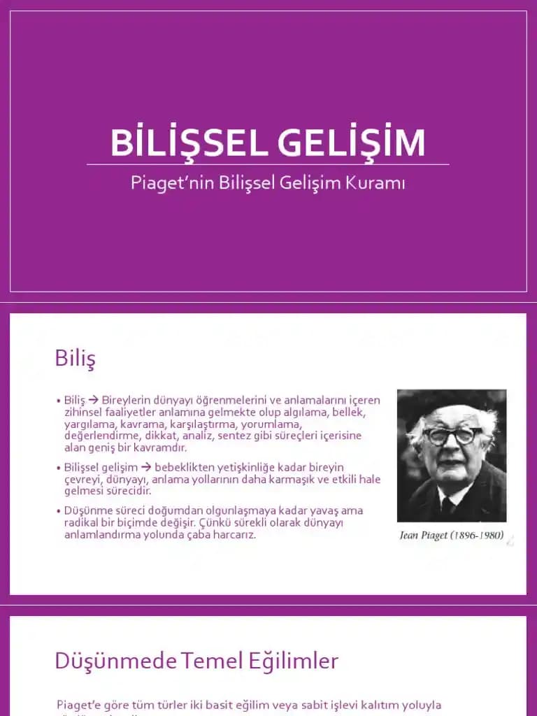 Duyusal ve Bilişsel Gelişim Eğitim Setleri: Çocukların Temel Becerilerini Güçlendiren Araçlar