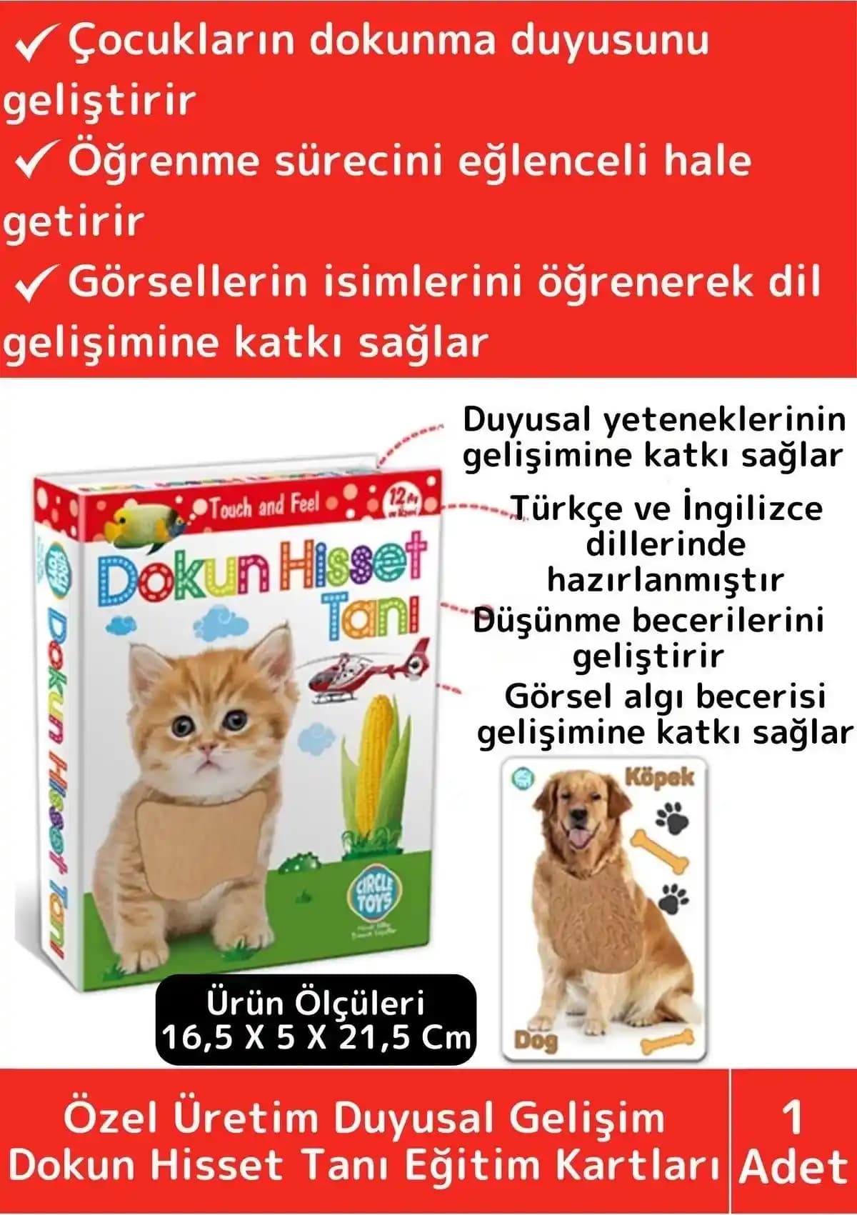 Duyusal Bilişsel Eğitim Kartlarının Çocuk Gelişimine Katkıları ve Kullanım Alanları