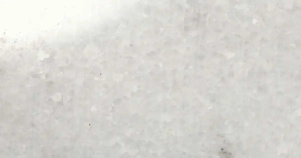 Eğitim Amaçlı Diş Sağlığı Oyuncakları Çocukların Sağlıklı Diş Alışkanlıkları Kazanmasına Yardımcı Olur