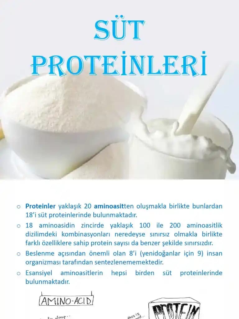 Protein Teknolojili Süt Ürünleri ve Gelecekteki Uygulamaları Hakkında Güncel Bilgiler