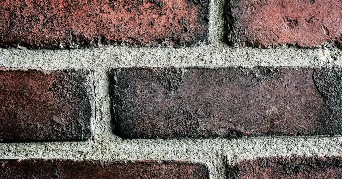Temizlik Mendilleri Karşılaştırması: Solo Markası ve Alternatifleri Hakkında Detaylı Bilgi