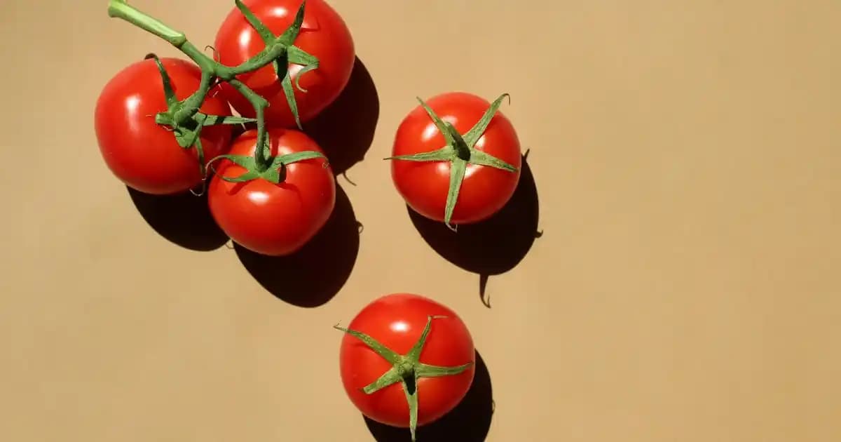 Yemek Termosları: Okul ve İş Hayatında Sıcak ve Soğuk Yiyecekleri Koruyan Pratik Çözümler