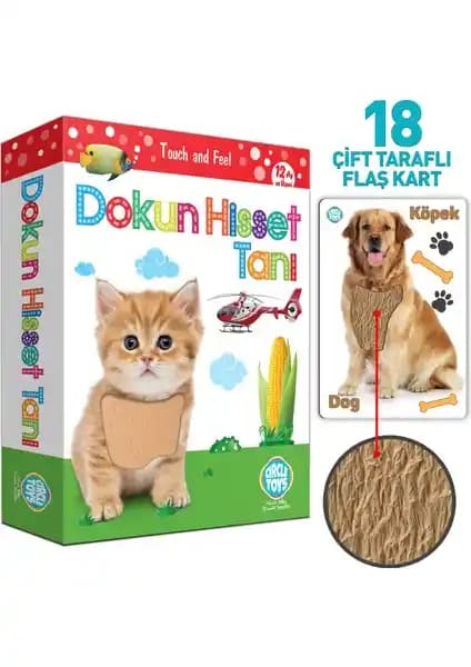 Circle Toys Dokun Hisset Tanı Kartları ile çocukların duyusal ve bilişsel gelişimini destekleyen eğitim seti