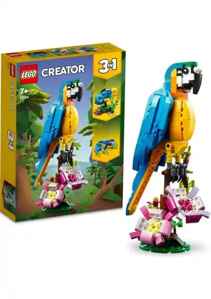 LEGO Creator Egzotik Papağan 31136: Renkli ve Detaylı Yaratıcı Oyuncak Seti